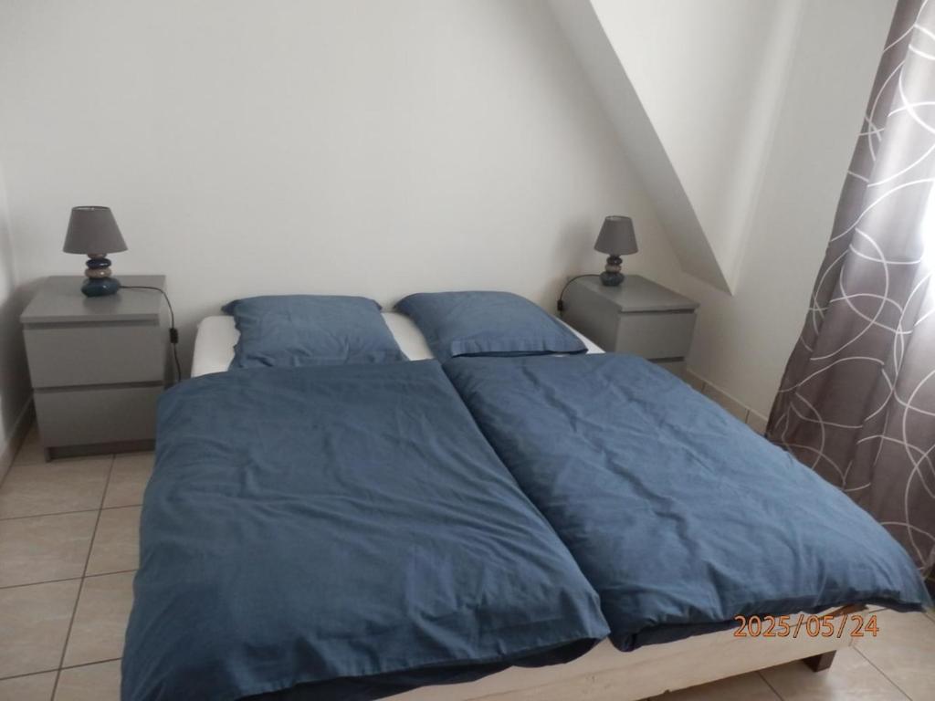 a bedroom with two beds with blue sheets and two night stands at La maison des cigognes Eguisheim in Eguisheim