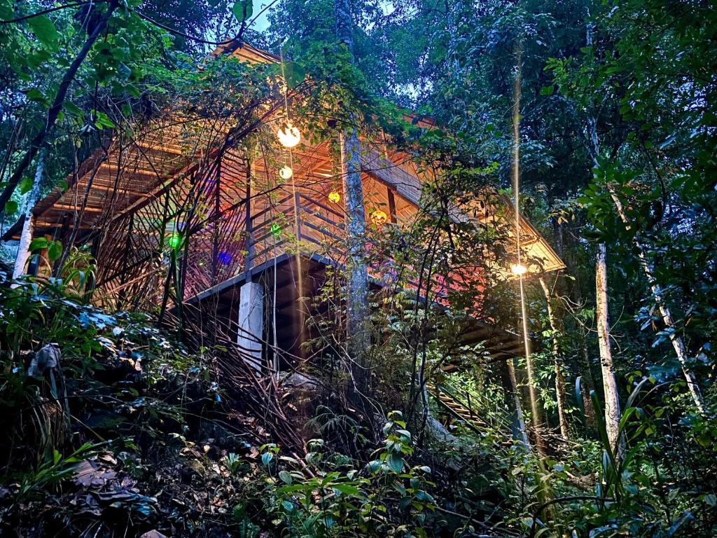 a house in the middle of a forest at night at Riverston Water Front Villa in Rattota