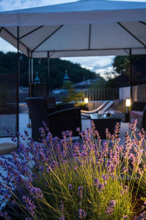 Zahrada ubytování Prezident Luxury Spa & Wellness Hotel