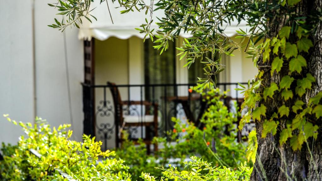 Paxos Club Resort & SPA - 9