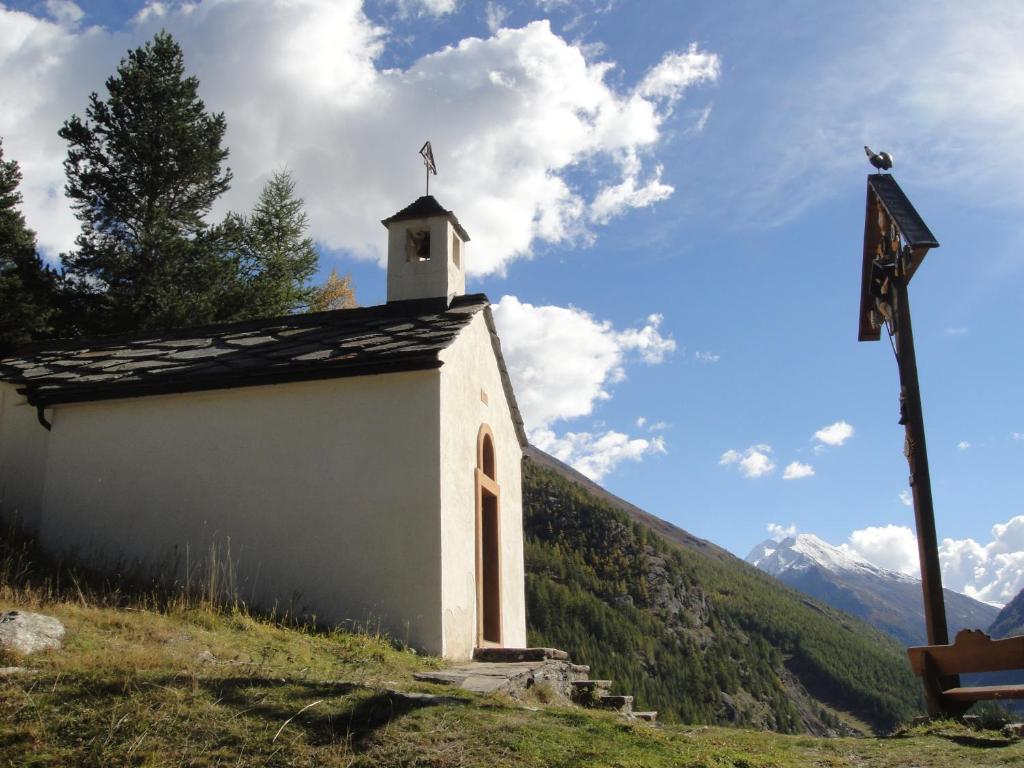 Příroda nedaleko apartmánu