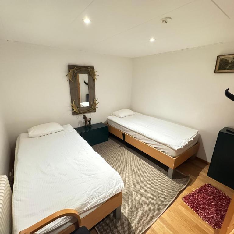 a bedroom with two beds and a mirror and a rug at Vittsjö charmiga hus in Vittsjö
