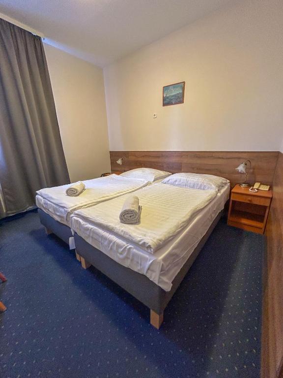 Corvin Hotel - Resim 12