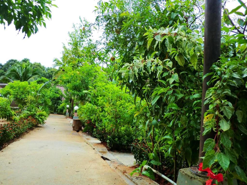 The Krabi Forest Homestay - 15