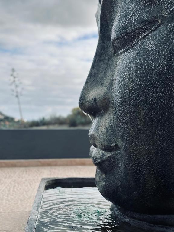 a statue of a face in a pool of water at Agrotur Fenix in Telde
