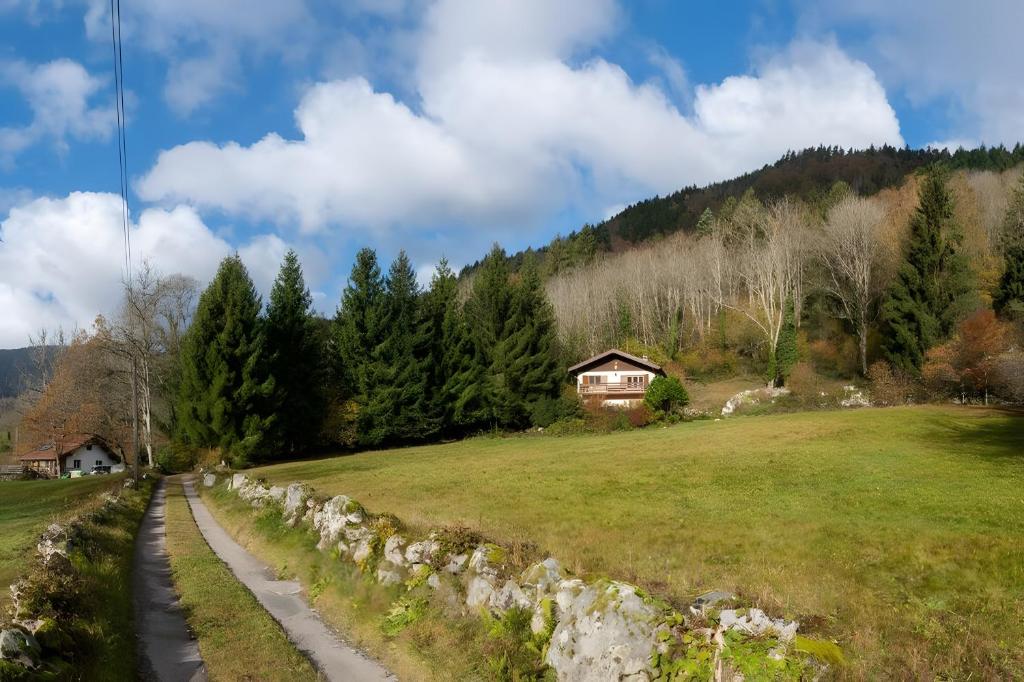 a grassy hill with a house and a road at Gite Nature L'orée Des Etoiles in Soultzeren