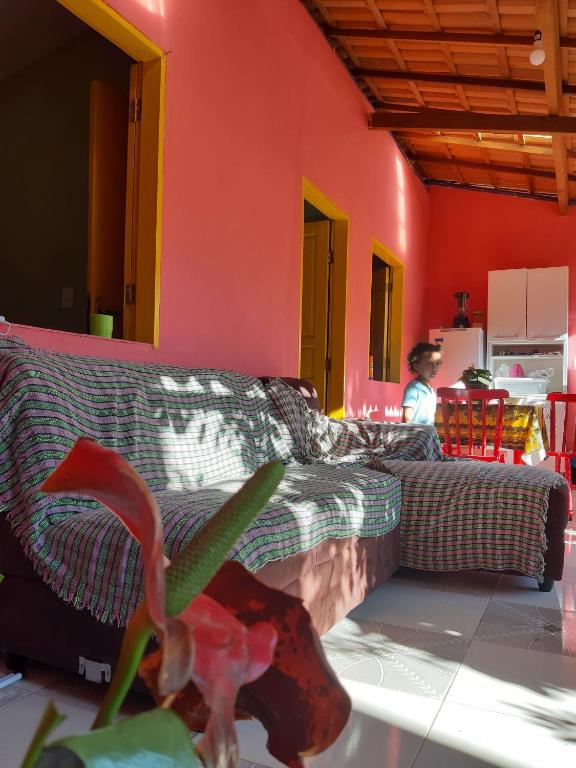 a living room with a couch and a plant at Morada das Plantas in Mucugê