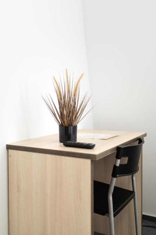 Hotel HC Ceské Budejovice - Resim 8