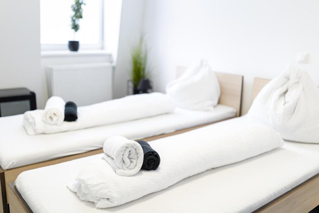 Hotel HC Ceské Budejovice - Resim 12