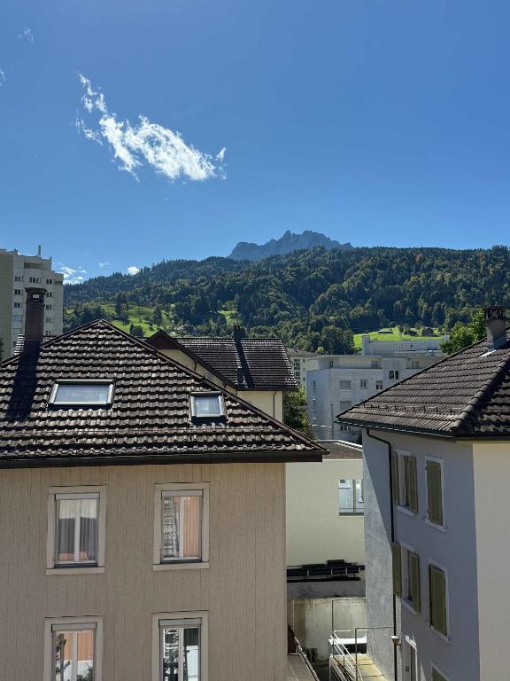 Mount Pilatus view Apartment Lucerne with free parking & WIFI