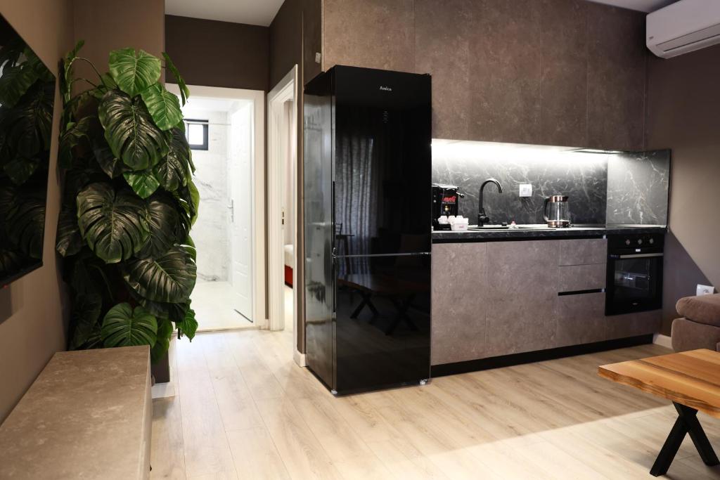 a kitchen with a black refrigerator and a plant at Meli Deluxe Apartments in Tirana