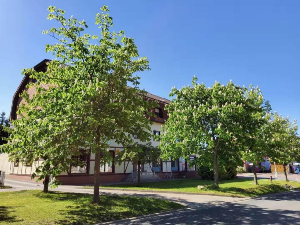 two trees in front of a building at Haus Freigeist - zum Ortsblick in Neinstedt
