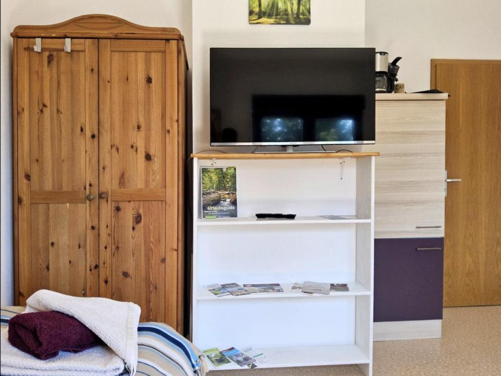 a living room with a tv on a shelf with a entertainment center at Haus Freigeist - zum Wanderer in Neinstedt