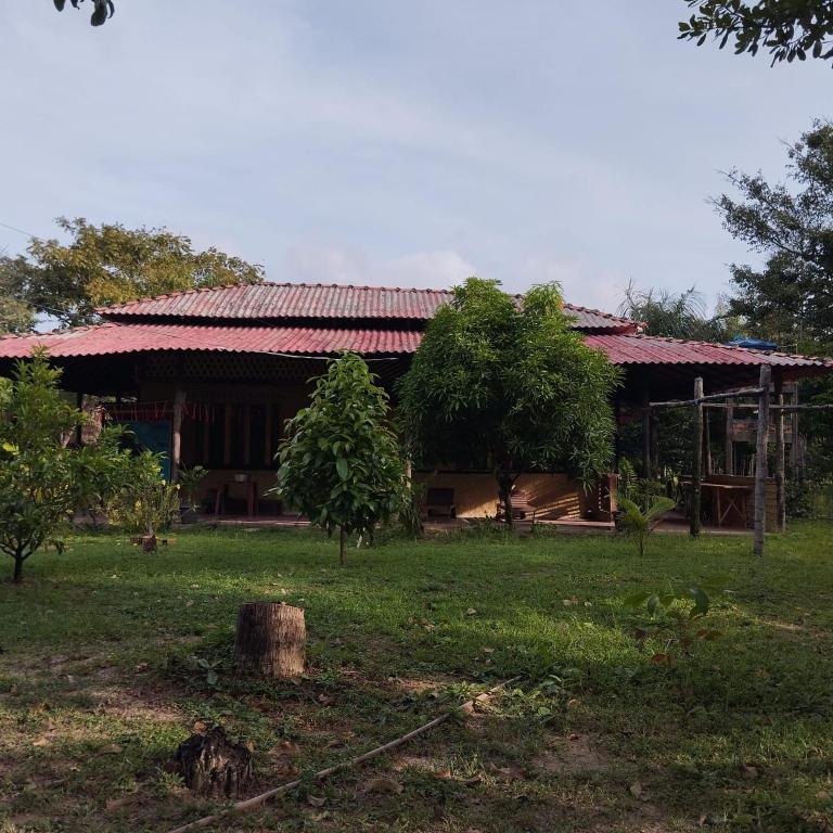 budynek z trawnikiem przed nim w obiekcie Eco Sitio a Flor do Bacuri w mieście Algodoal