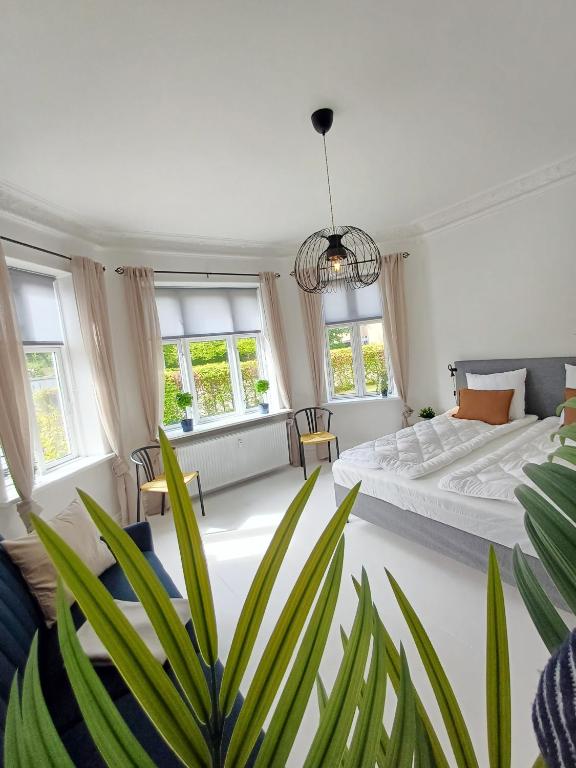 Un dormitorio con una cama y una planta en maceta. en Exclusive Luxury Apartment in the Heart of Aalborg, en Aalborg