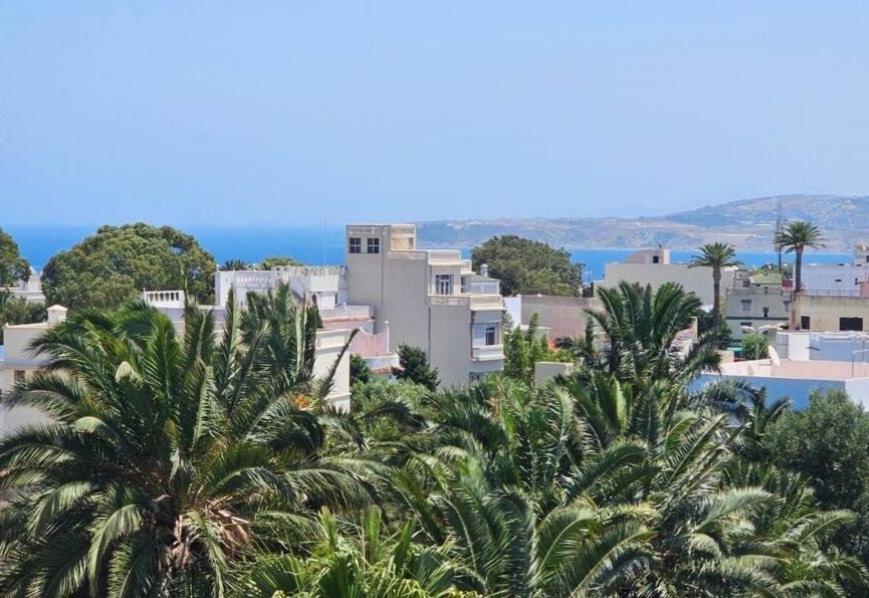 a group of palm trees in front of a city at Cozy apartment Beach and Souk within walking distance in Tangier