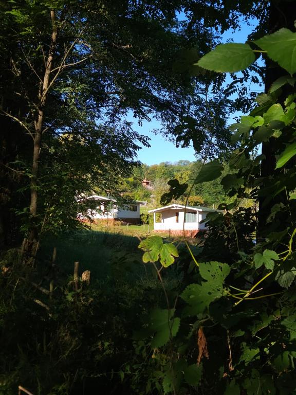 a view of a yard with a house in the background at Căsuțele bucuriei in Pucioasa