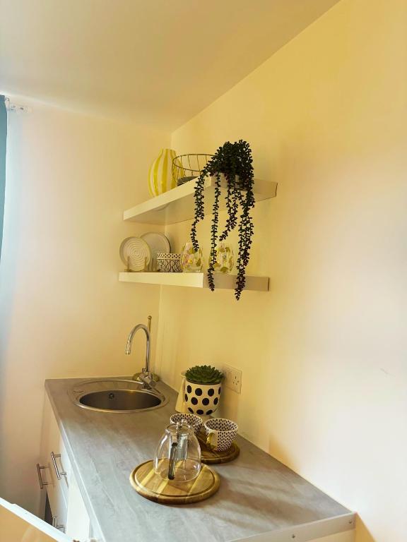 En-suite Double Room Park Royal with off-site Gym Access - Resim 8