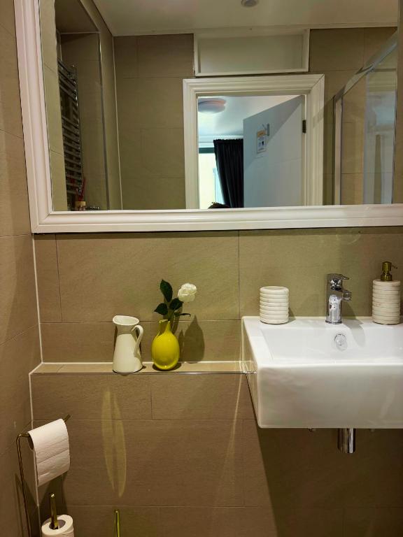 En-suite Double Room Park Royal with off-site Gym Access - Resim 21