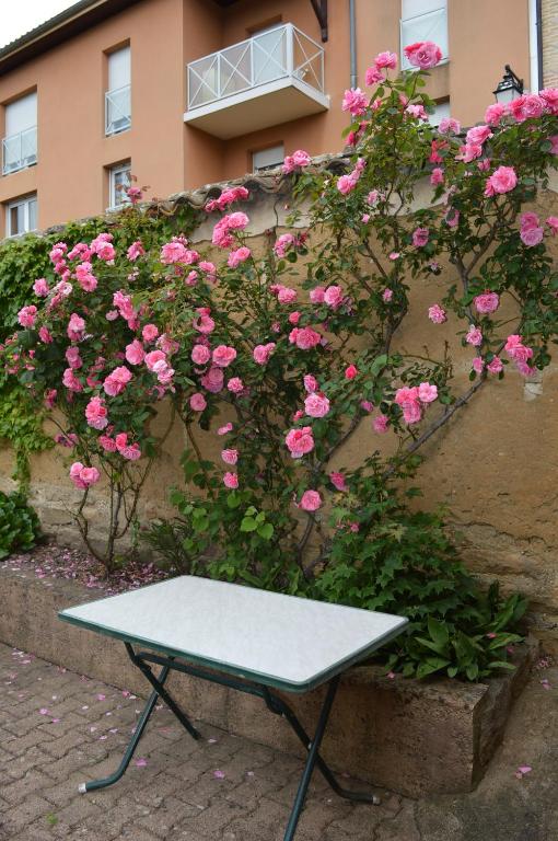 Zahrada ubytování Côté Midi Chambre d'hôte