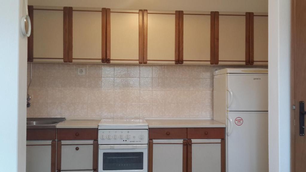 Kuchyňa alebo kuchynka v ubytovaní Apartment Ivo Mazic