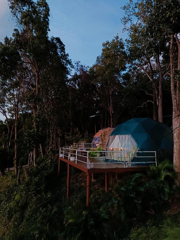 a park bench with a tent on top of it at NATUR - Krabi Campsite Glamping & Camping in Krabi
