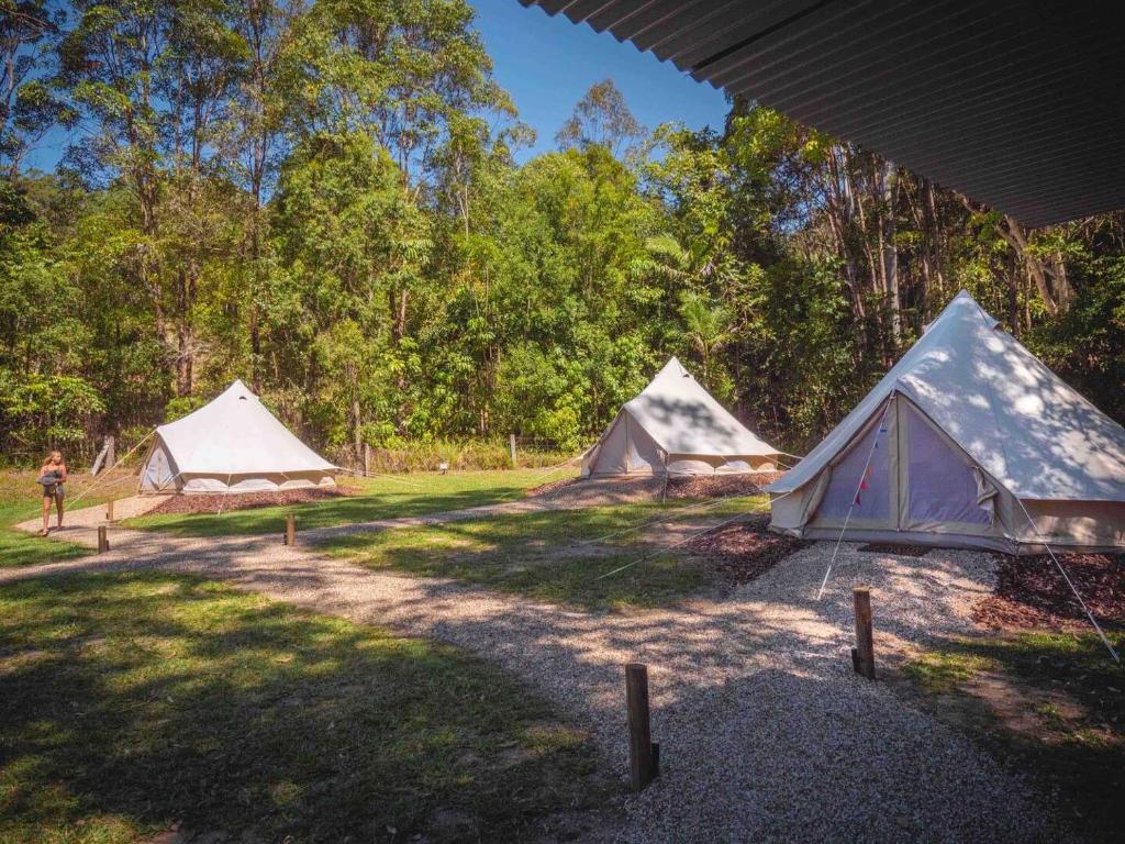a group of three tents in a field at Aura Glamping Bell Tent in Eumundi