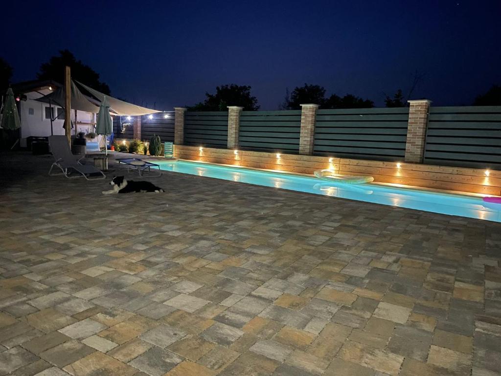 a dog sitting next to a swimming pool at night at Iris in Dogliani