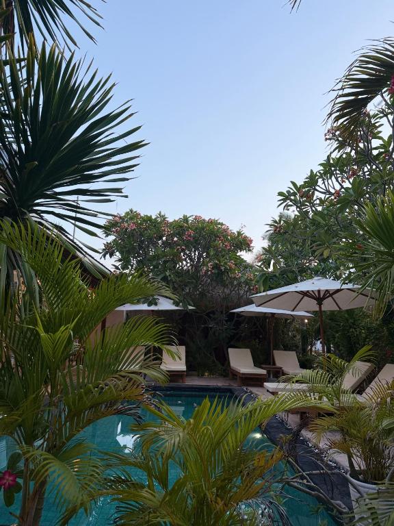 Molah Gili Villa - 18