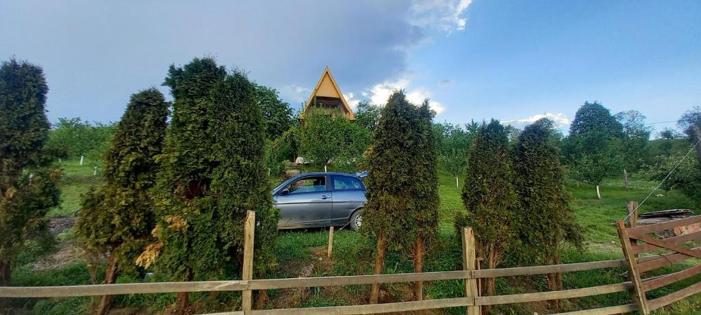 Zahrada ubytování Negovanovic Vikendica