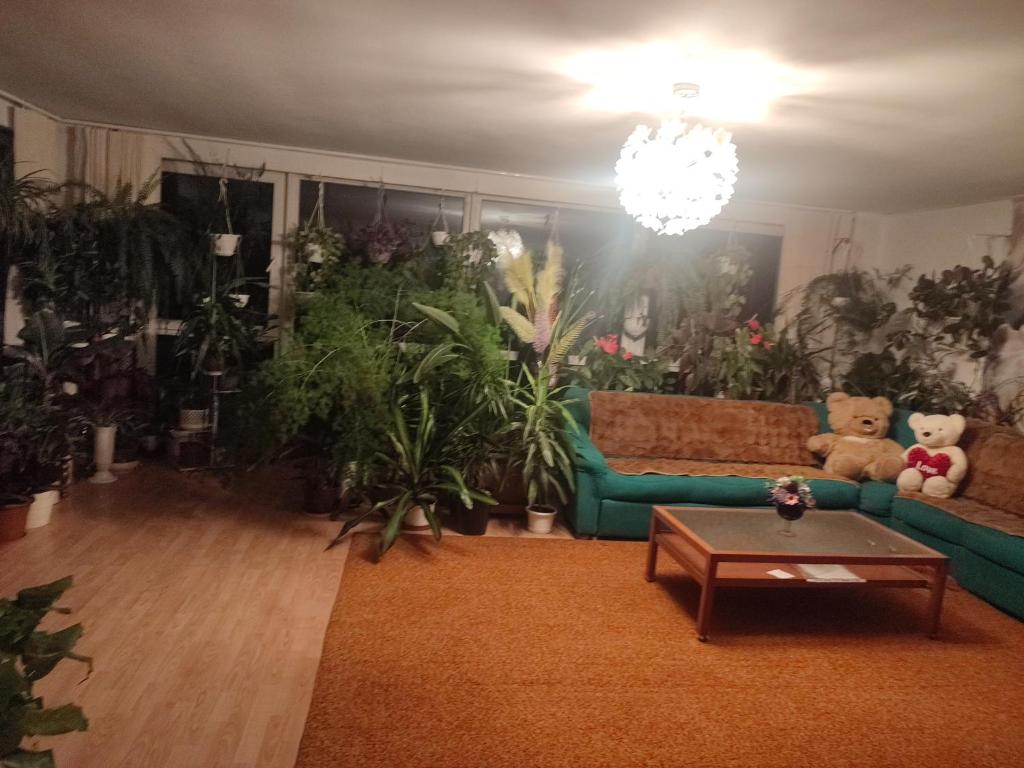 a living room with plants and a couch and teddy bears at Оазис in Jíloviště