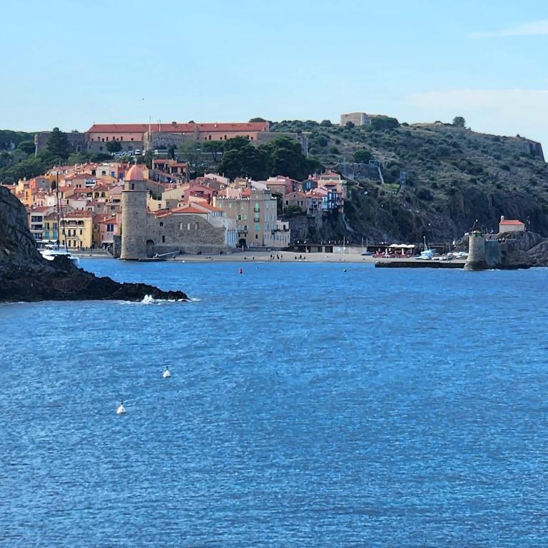 La crique appartement vue clocher Collioure