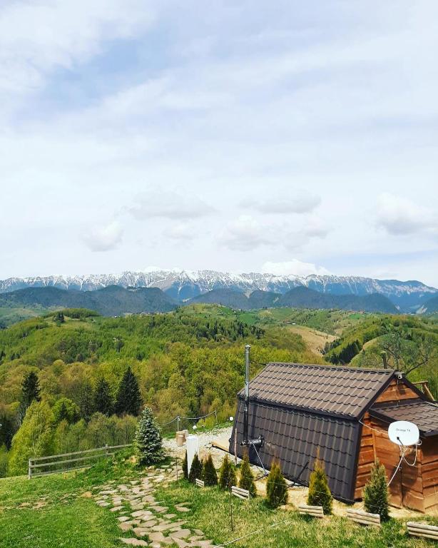a log cabin with mountains in the background at Cabanuta din munti in Moieciu de Jos