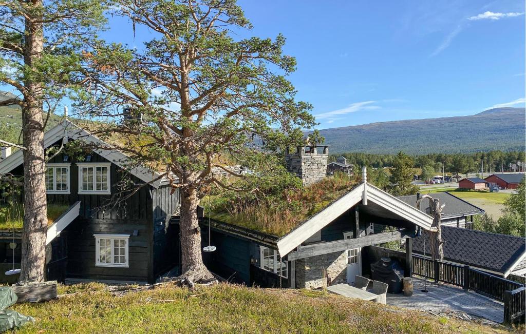 a house with a grass roof with a tree at Pet Friendly Home In Bjorli With Sauna in Bjorli