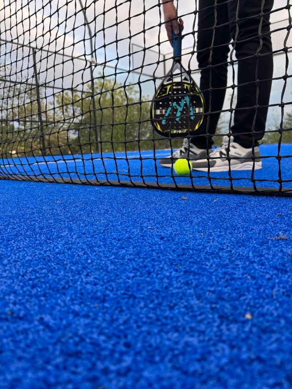 Tenis a/nebo squash v ubytování Vila Kraljev Breg Fruška Gora Pool and Padel nebo okolí