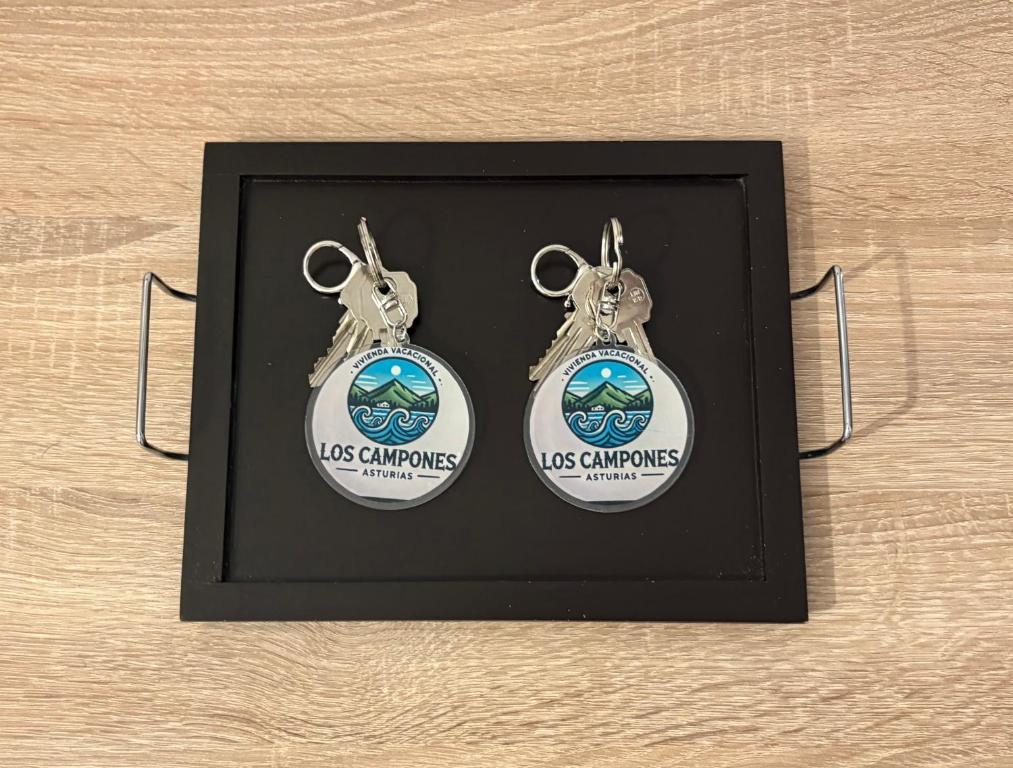 Un par de pendientes con el logo de Las Ardillas. en Vivienda Vacacional Los Campones, en Berrón