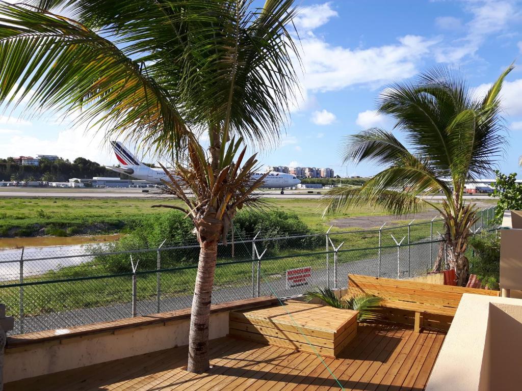 una palmera sentada junto a una pista del aeropuerto en SXM Spotters Paradise, en Lowlands