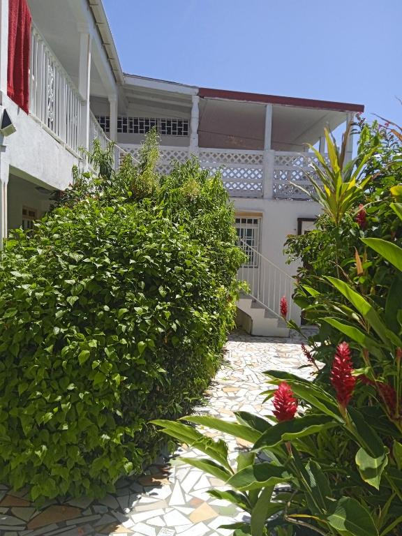 a walkway in front of a house with bushes at Les jardins de VALENTIN in Le Gosier