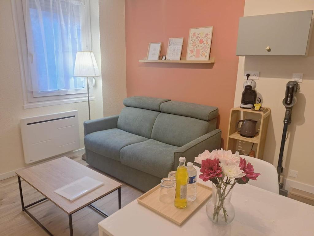 a living room with a couch and a table at Charmant T2- Besançon hyper centre in Besançon