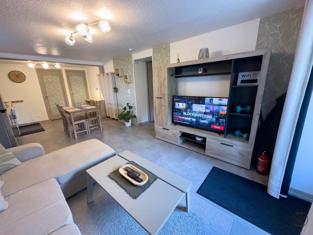 a living room with a large flat screen tv at Le Maé classé 4 étoiles, terrasse et parking in Dole