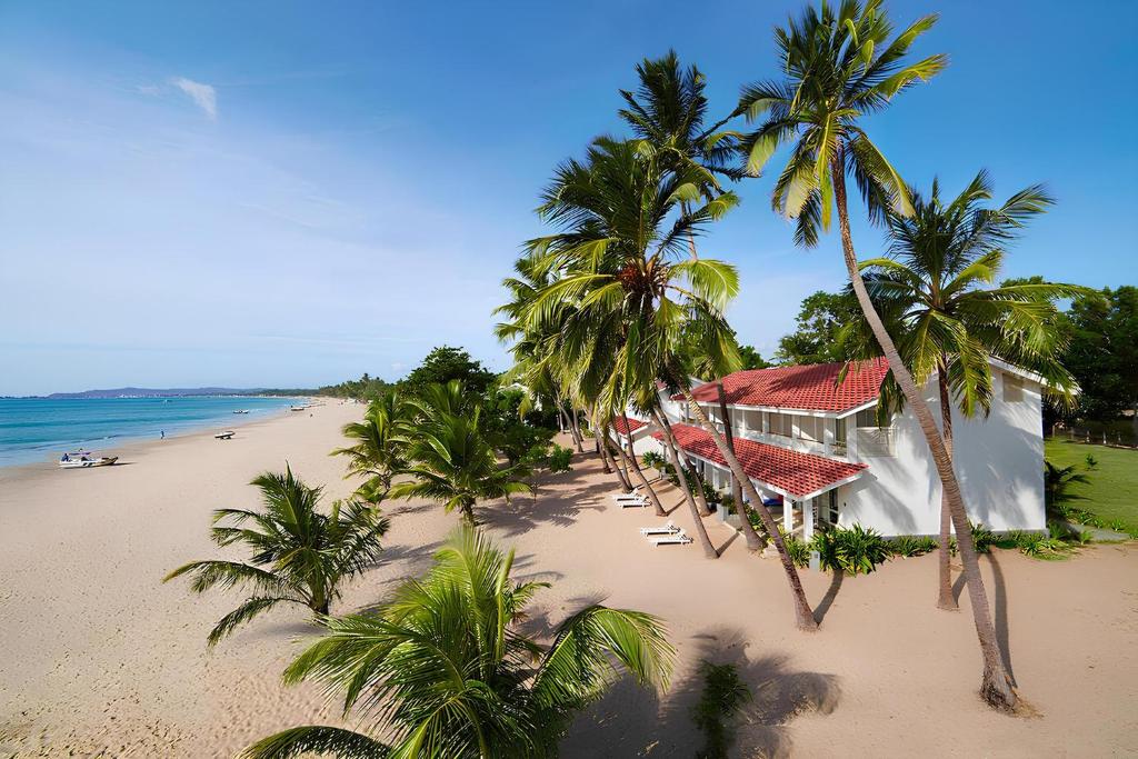 Trinco Blu by Cinnamon - 11