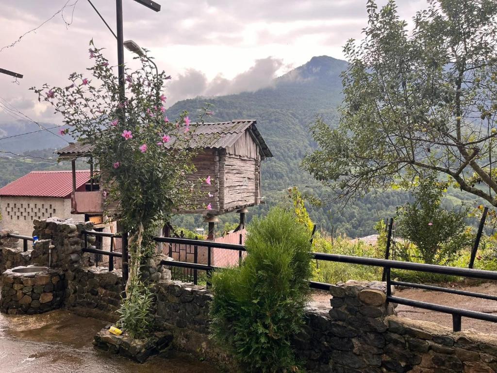 Un paisaje natural cerca de la casa de huéspedes