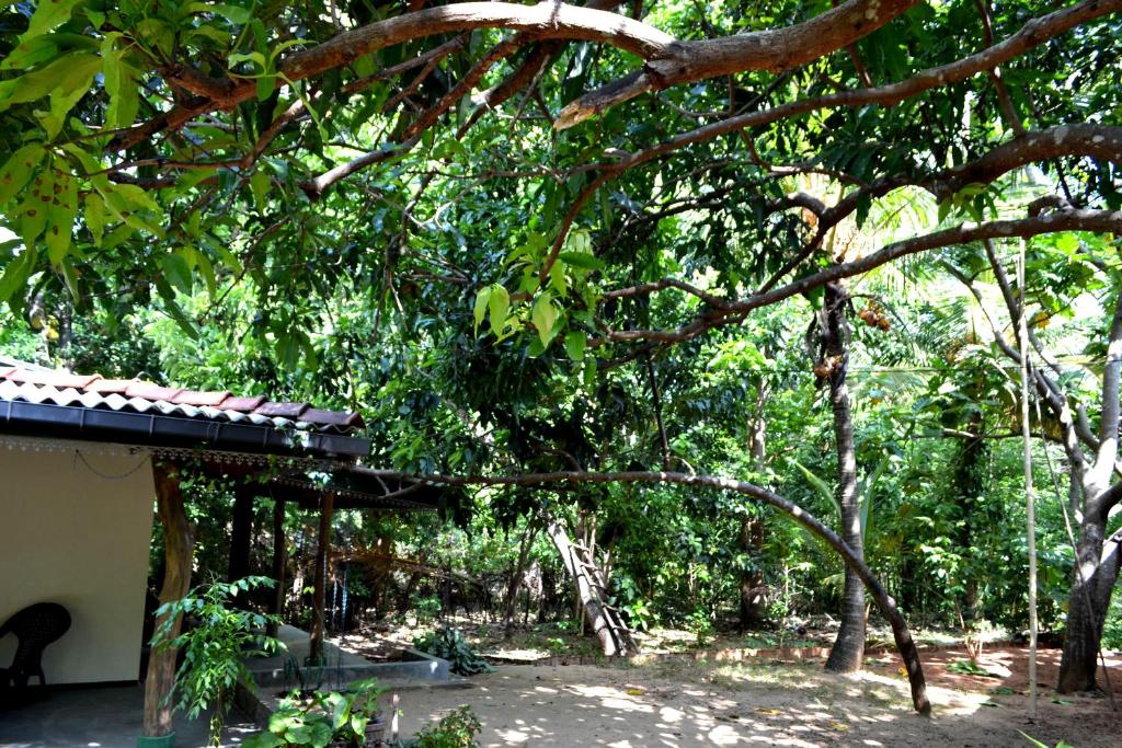 Zahrada ubytování Sigiriya Freedom Lodge
