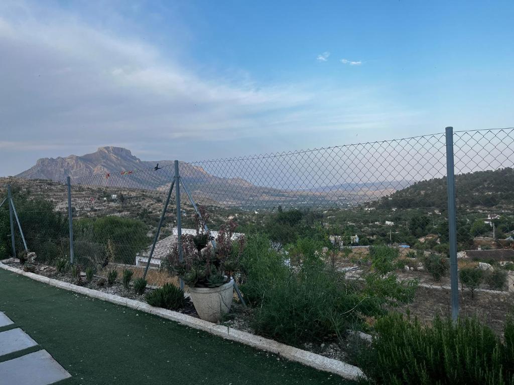 Una valla con algunas plantas y una montaña al fondo. en Cortijo Algüit, en Vélez Blanco