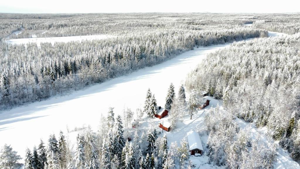 RaiskioにあるLapland aurora riversideの雪山下に乗る人々