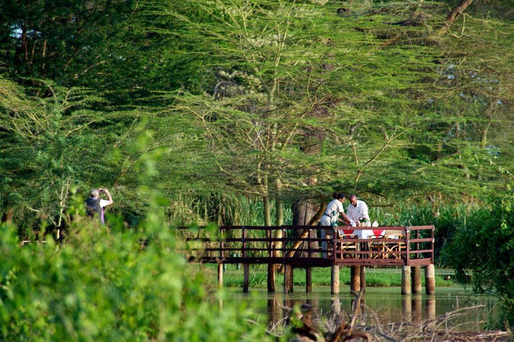 Hosté ubytování Voyager Ziwani Tented Camp