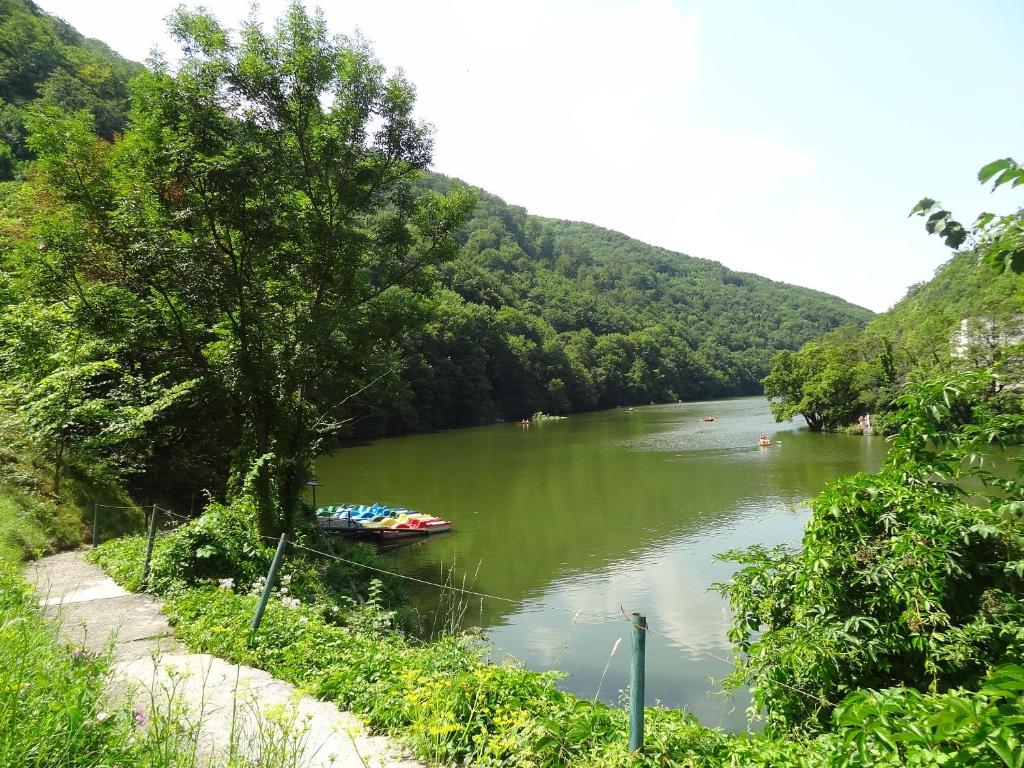 Príroda v okolí apartmánu