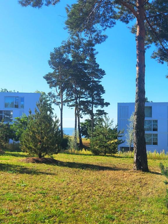 a group of trees in front of a building at Lust auf Meer - Ferienwohnung mit Terrasse & Sauna in Garz