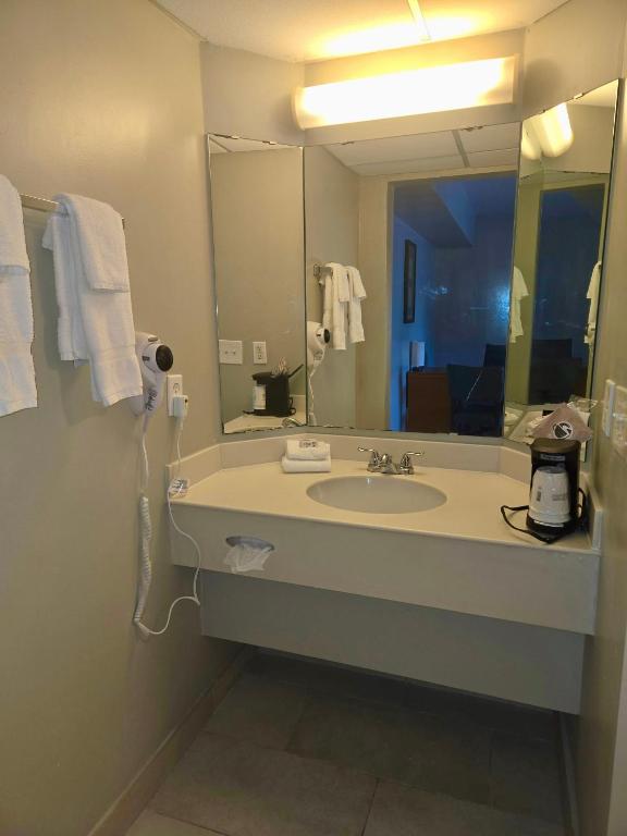 La Quinta Inn Tampa Airport Stadium Westshore photo