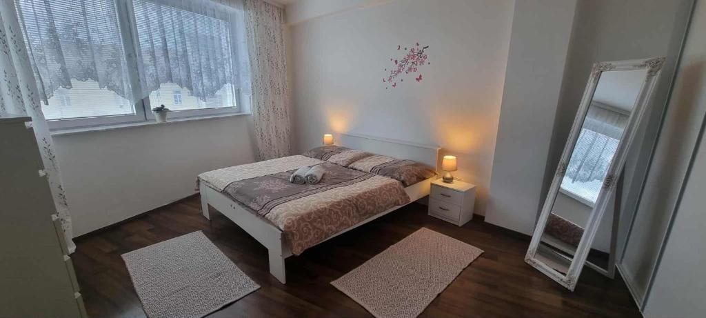Postel nebo postele na pokoji v ubytování Ubytovanie v centre v apartmánovom dome ENZO s garážovým státím